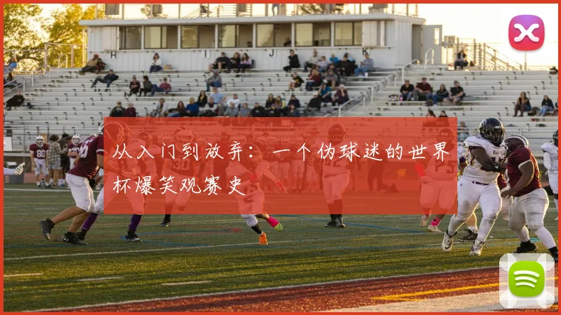 从入门到放弃：一个伪球迷的世界杯爆笑观赛史