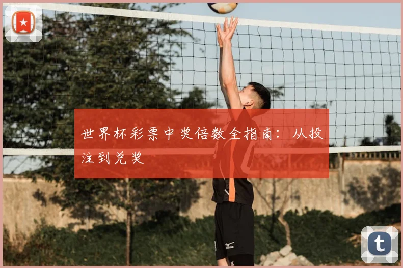世界杯彩票中奖倍数全指南：从投注到兑奖