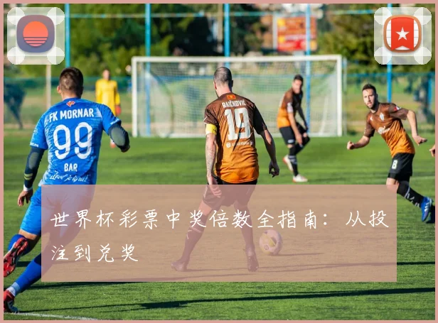 世界杯彩票中奖倍数全指南：从投注到兑奖