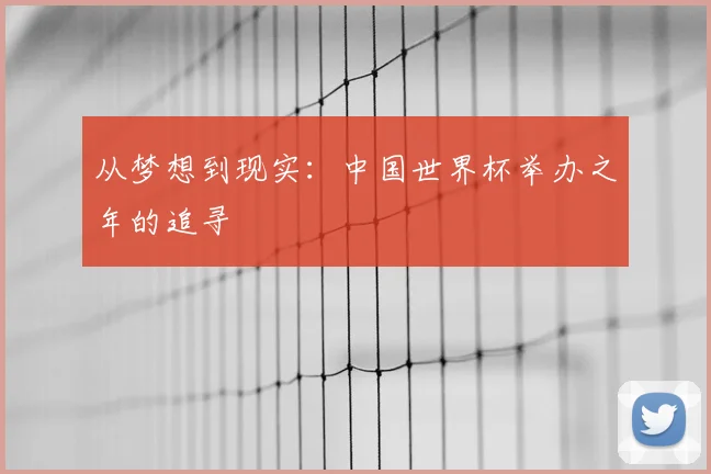 从梦想到现实：中国世界杯举办之年的追寻