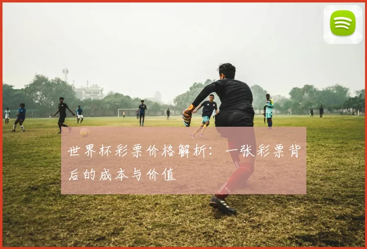 世界杯彩票价格解析：一张彩票背后的成本与价值